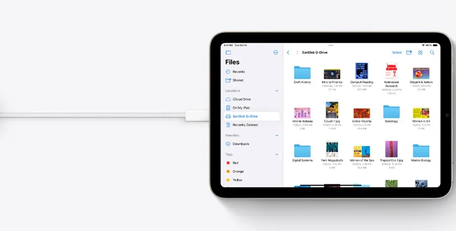 Универсальный порт зарядки и передачи данных USB-C на iPad mini 7
