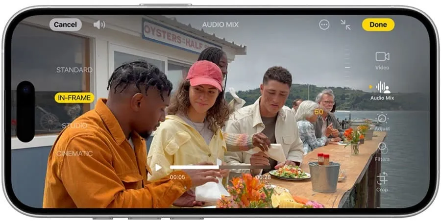 Многофункциональная кнопка Действия (Action Button) на Айфон 16 Плюс