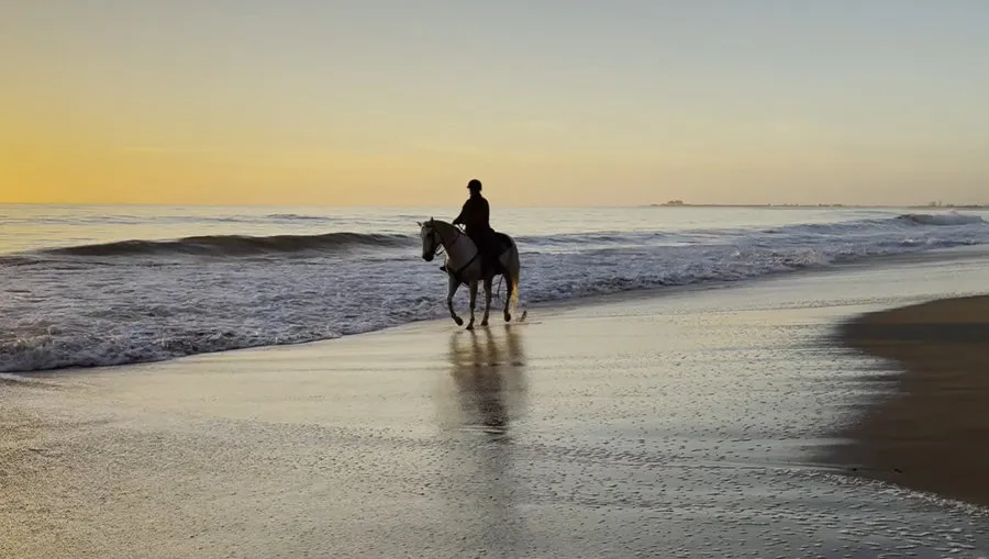 Операционная система iOS 18 с виджетами на Айфон 16е